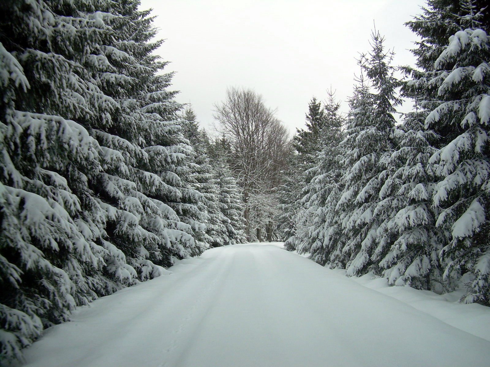 DSCN2380.JPG